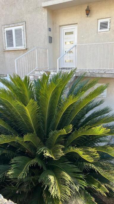 Apartment Biggy Cavtat Eksteriør bilde