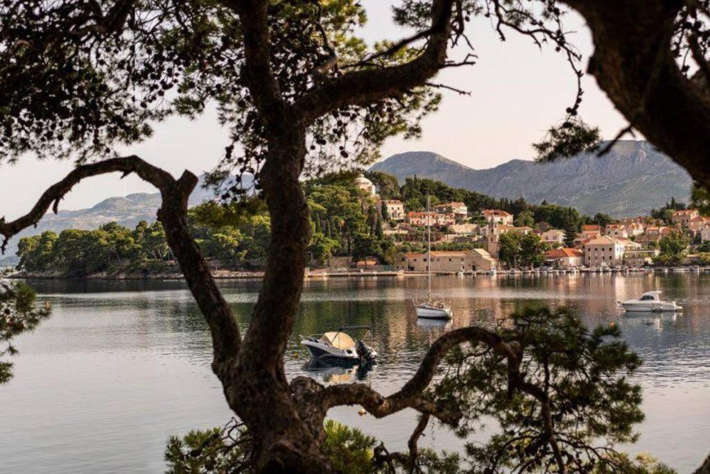 Apartment Biggy Cavtat Eksteriør bilde
